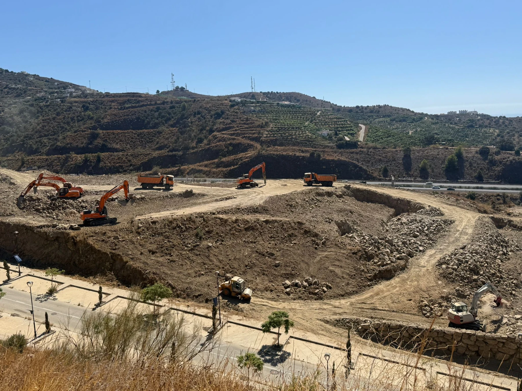 Avanzamos con paso firme